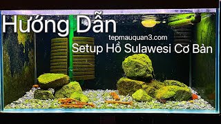 [Hướng Dẫn] Chỉ cần 8 phút xem video bạn có thể tự SETUP được một hồ SULAWESI cơ bản !