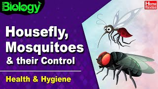 Housefly, Mosquito \u0026 their Control | Health and Hygiene | Part II | Biology | Home Revise