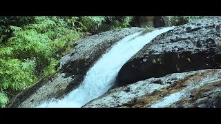 Expat Life: Malaysia - Camping at Jerangkang Waterfall, Pahang