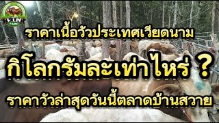 ประเทศเวียดนามปลายทางวัวเนื้อของเรา\