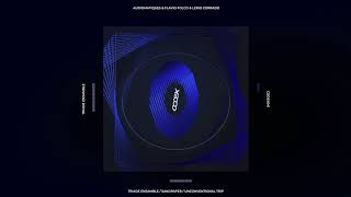 Audiomatiques, Flavio Folco, Lerio Corrado - Triade Ensamble Intro (Original Mix) // CODEX041