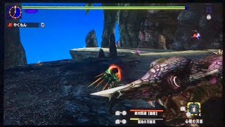 【MHXX】村10高難度：宵闇に消ゆ 3'27\