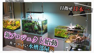 【新プロジェクト始動】目指せ日本一かっこいい水槽部屋！アクアリウムをおしゃれに楽しむために