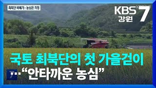 국토 최북단의 첫 가을걷이…“안타까운 농심” / KBS  2022.08.23.