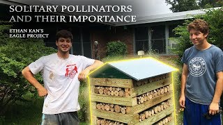 Ethan Kan Eagle Project: Solitary Pollinators and the Woodruff Pollinator Box