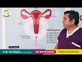 all about female reproductive system निःसंतान दम्पति जरुर देखें