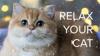 Relaxing Music for Cats: Gentle Winter ❄️ Sounds of the First Snowfall 🌬️