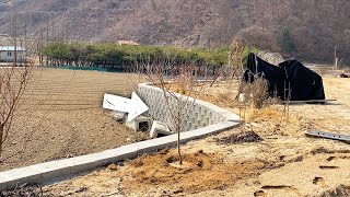 오랜만에 밭에 왔더니 새 나무가 생겼어요! | 주말농장 브이로그