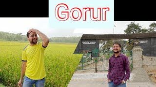 Gorur, Hassan, KA, India