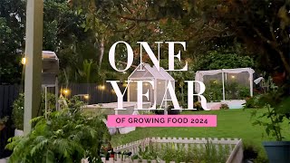 How much food did I grow in One Year in my Australian Vegetable Garden? 2024 Recap