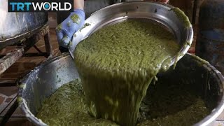 Traditional soap making resumes in Syria after years of war | Money Talks