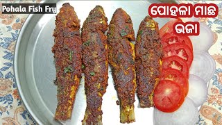 ପୋହଳା ମାଛ ଭଜା | Crispy pohala machha bhaja | Pohala macha recipe odia | Gota macha bhaja