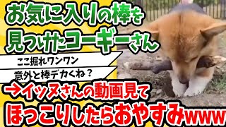 【総集編】犬の動画見てほっこりしたらおやすみwwwwwww