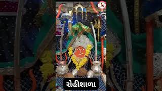 1200 વર્ષ થી આ ઝાડ નીચે મગર છે જોઇ લ્યો khodiyar mataji Rohishala #shortvideo #shorts