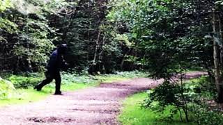 The first sighting of Bigfoot in years - and what is he doing?!