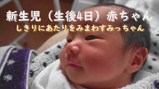 新生児（生後4日）赤ちゃん0歳0か月【まだよく見えないおめめをしきりに動かして、いろいろ見ようとしているよう…まわりが気になるみっちゃん】かわいい赤ちゃん癒しの笑顔