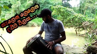 සැලෙන ලෙලෙන දළුව ව්ලස ​| Salena Lelena Daluwa Wilasa  |Congo Cover Song |Bongo Ruwan