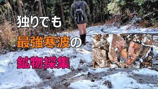 【鉱物採集】最強寒波でも石拾いに行く。