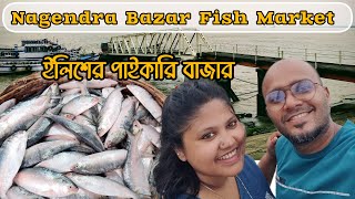 Best Place To Find Fresh Hilsha | ডায়মন্ড হারবার এর বিখ্যাত ইলিশ | নগেন্দ্রবাজার মাছের আড়ত |