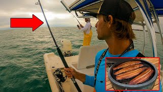 Mackerel Madness! - Commercial Fishing Trip