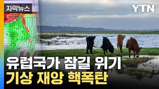 [자막뉴스] 이미 시작된 초대형 재앙...전문가들의 '섬뜩한 경고' / YTN