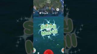 #shorts #pokemongo #pokemon #pokemongoapp #shinypokemon #shiny #marill #寶可夢 #色違 #可愛 #ポケモン #異色 #瑪力露