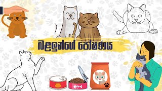 බළලුන් ගෙ පෝෂණය (Cat Nutrition)