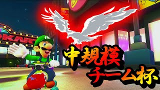 【MK8DX】中規模チーム杯　予選ピーチブロック　=ZF= vs ploom　【マリオカート８DX】