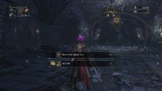 【bloodborne】Lv.24貧血vs人食い豚:抜刀ループ