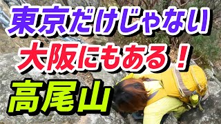 生駒山系 高尾山 低山ながら岩登りと水仙を楽しめる山