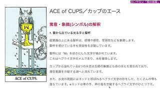 【🔰初心者向け】カップのエース／ACE of CUPS 徹底解説