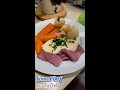 คลิปสั้น คอร์นบีฟ ราดซอสขาว short clip corned beef with white sauce