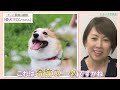 【前向きに？カメラにときめく女子レーサー】西岡育未＆薮内瑞希＆生田波美音｜ぼ～っと女子バナ日和 25～水上のカメラマン？な女子バナ～｜女子レーサー｜ボートレース