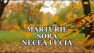 Mărturie: Sora Necea Lucia - Salvată de Îngerul Domnului din fântână!