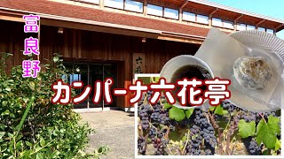 富良野【カンパーナ六花亭】ブドウ畑のロケーションが最高！【かんのファーム】お花を見て来ました /2021