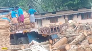 wood unloading peoses || plywood work