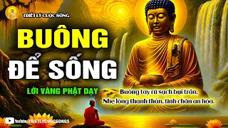 Buông Để Sống: Cách Tìm Thấy Bình An Và Ý Nghĩa Cuộc Đời