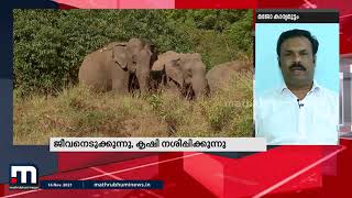 ' വന്യജീവി ശല്യം പരിഹരിക്കുന്നതിന് ഫണ്ടില്ലെന്ന് വെറുതെ പറയുന്നതാണ് '| Mathrubhumi News