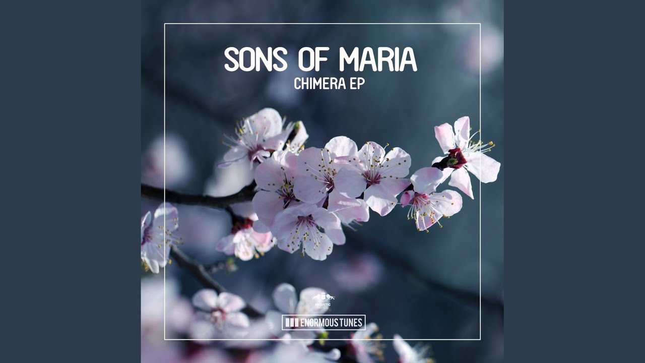 Fuchur Radio Mix Youtube Music