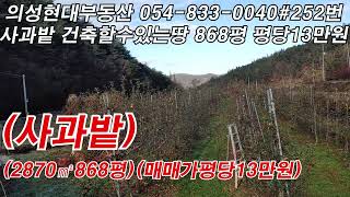 매물NO.252   #의성현대부동산#경북부동산#의성부동산#의성군 사과밭868평 매매가평당 13 만원 #의성싼땅매매 #의성사과밭매매#의성자두밭매매