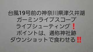 台風前の神奈川県津久井湖。ガーミンライブシューティング‼️