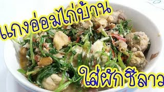 สูตรอ่อมไก่ผักชีลาว | อาหารอีสานน่ากิน | อาหารพื้นบ้าน | ป้าอุ๊พาเพลิน