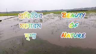 The beauty of nature| প্রকৃতি র মনোরম পরিবেশ