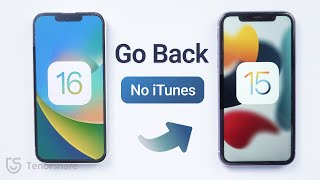 [iOS 16 Beta] How to Go Back to iOS 15 without iTunes
