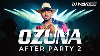Ozuna Reggaeton Mix 2021 - 2017 | Best Of Ozuna After Party 2  - Dj Naydee