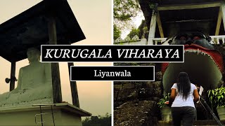 පාදුක්ක නගරයේ සැඟවුණ සුන්දර විහාරය (Kurugala Viharaya)