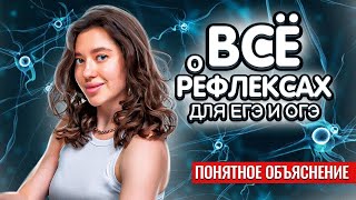 Все о рефлексах к ЕГЭ и ОГЭ по биологии