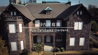 おうちで楽しめる！旧古河庭園の花の見所～総集編～