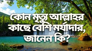 কোন মৃত্যু আল্লাহর কাছে বেশি মর্যাদার, জানেন কি?