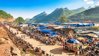 CHỢ PHIÊN QUẢN BẠ ( HÀ GIANG CŨ ) - CHỢ ĐỒ RỪNG LỚN NHẤT CAO NGUYÊN ĐÁ BÁN RẤT NHIỀU ĐỒ LẠ QUÝ HIẾM